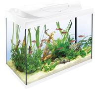 Set Completo Acquario Tetra Starter Line, 80 L - Bianco