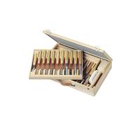 Set completo con box in legno di 25 sgorbie/scalpelli legno PFEIL HBS 25