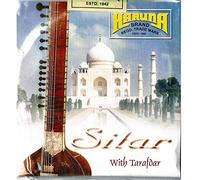 SET COMPLETO DI 18 TOP MARCA KARUNA INDIANO SITAR CORDE 7 + 11
