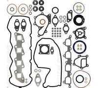 Set completo di guarnizioni, motore REINZ 01-53694-01 per CABSTAR 2.5 2006-2012