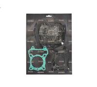 Set completo di guarnizioni, motore RMS RMS 10 068 908
