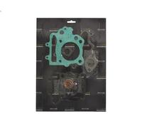 Set completo di guarnizioni, motore RMS RMS 10 068 943