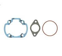Set completo di guarnizioni, motore RMS RMS 10 068 9600