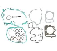 Set completo di guarnizioni, motore WINDEROSA W808894