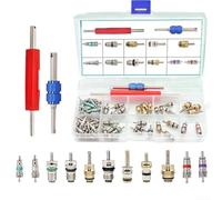 Set completo di riparazione per valvola CA da 102 pezzi, include 100 nuclei e 2 estrattori per R12 R134a, compatibile con la maggior parte dei veicoli