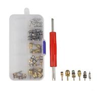 Set completo di valvole per auto con 102 pezzi, tra cui nuclei in rame e strumenti di estrazione per linee R12 e R134a, compatibile con Jetta e per veicoli generici