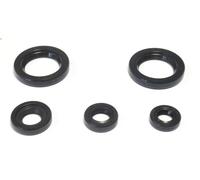 Set completo guarnizioni motore ATHENA P400270400060