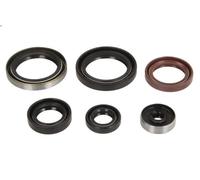 Set completo guarnizioni motore ATHENA P400270400077