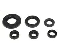 Set completo guarnizioni motore ATHENA P400485400157