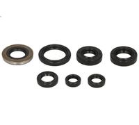 Set completo guarnizioni motore WINDEROSA W822160