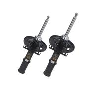 Set Coppia 2 Ammortizzatori Anteriori per RENAULT Megane III 2008-2017 (DX-SX)