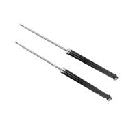 Set Coppia Ammortizzatori Posteriori Adatti per FORD Fiesta V e MAZDA 2 (DX-SX)