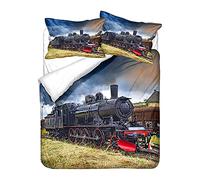 Set Copripiumino Bambino Singolo Adulto 3D Treno a Vapore Nero Grigio Moderno Set Biancheria da Letto in Microfibra Uomo Ragazzi Duvet Set Treno Federa Abbinata (Beige, 135 x 200 cm)