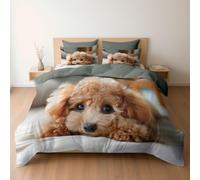 Set copripiumino design Animale Barboncino Carino Sdraiato, set di biancheria da letto Doppia 220 x 240 cm reversibile, ultra morbido, ipoallergenico, di lusso, con chiusura a cerniera, Verde Grigio