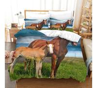 Set Copripiumino Matrimoniale 220x240 cm Cavallo Biancheria da letto Prato Copripiumini Set Microfibra Morbido con Cerniera con 2 Federe 50x80cm per Tutte le Stagioni b.1565