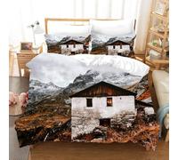 Set Copripiumino Matrimoniale 260x240 Casa Fatiscente 3D Stampato Biancheria da Letto Arte Microfibra Morbido Traspirante Copri Piumino con Cerniera con Federa 50x80 498-A