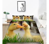 Set Copripiumino Singolo 135x200 cm Anatra Gialla 3D Stampato Copri Piumino Erba Vicino All'acqua Morbido Comodo Microfibra Copripiumino con Cerniera con Federa 50x80 cm e-3265