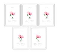 SET Cornici legno parete OPTICAL BIANCA vetro Portafoto stampe poster documenti