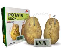 Set creativo di esperimenti scientifici Orologio Eco con patate