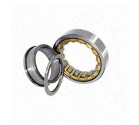 Set Cuscinetti A Rulli Cilindrici NUP336-NUP352EM | Design NUP con flange integrali.,Allineamento di precisione dei rulli.,Consente l'espansione dell'albero.(NUP352EM)