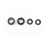 Kit Revisione Albero Motore: Kit Cuscinetti e Paraolio APRILIA RX 50 2006 - 2014