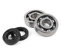 Set cuscinetti Albero motore moto Force per Minarelli/CPI, incl. Microonde anelli di tenuta
