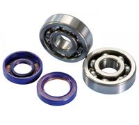 Set cuscinetti albero motore Polini con paraolio Viton Polini per Minarelli AM6