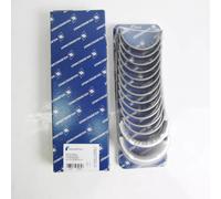 Set cuscinetti albero principale Kolbenschmidt per BMW N52 N53 N54 2.5L 3.0L STD