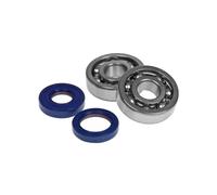 KIT CUSCINETTI REVISIONE ALBERO MOTORE POLINI MINARELLI AM5