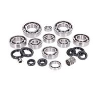 Set cuscinetti per motore Rotax 122ccm con guarnizioni albero