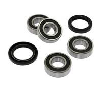 Set Cuscinetti Ruota Posteriori Pyramid WB324 per BMW G650X G 650 X ABS