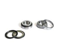 SET CUSCINETTI TESTA TELAIO CON GUARNIZIONI SUZUKI RM 100, RM 250 '76-