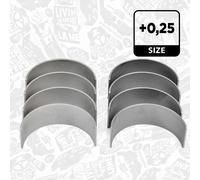 Set Cuscinetto Biella VW Audi Seat 2,0 1,9 Asz Avf Awx Azv Bkd Bke Blb Bmm Bmn