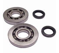 Set Cuscinetto Guarnizione per Gilera Runner Piaggio Hexagon Skipper TPH