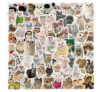 Set da 100 adesivi divertenti a tema gatto, adesivi creativi fai-da-te autoadesivi per decorare bottiglie d'acqua, computer portatile, skateboard, chitarre, valigie, caschi, macchine fotografiche, qua