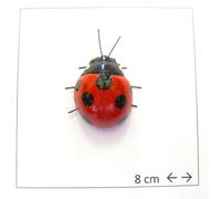 SET DA 12 PEZZI Calamita Magnete Frigo Fridge Magnets LADYBUG COCCINELLA DI TER