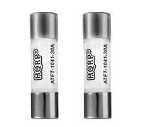 Set Da 2 HQRP SC-30 Fusibile Ritardato 30A Per Vasca Idromassaggio Bussmann SC30
