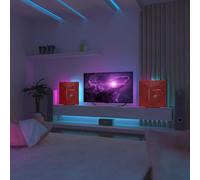 Set da 2 pannelli acustici con lampada da tavolo e retroilluminazione LED RGB | 50x50 cm | Pannelli fonoassorbenti mobili su supporto da tavolo per studio e sala giochi | [WILDS | Plastica rossa]