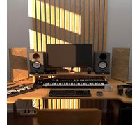 Set da 2 pannelli acustici stretti con lampada da tavolo e illuminazione LED RGB | 25x50cm | Pannelli fonoassorbenti mobili su supporto da tavolo per studio e sala giochi | [WILDS | Rovere]