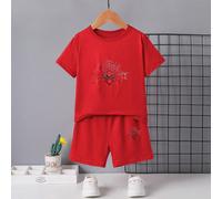 Set da 2 pezzi di moda casual sportiva per ragazzo, top con maniche corte e pantaloncini con grafica a ragno, morbido e confortevole, adatto per l'estate 6Y,7Y,8Y,4Y,5YAnimale,RitrattoTessuto in magli