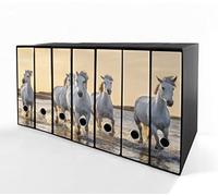 Set da 7 raccoglitori ad anelli CAVALLI - Faldoni SHAREPRINTING (H34 con 4 anelli)