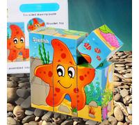 Set da 9 pezzi, puzzle tridimensionale a 6 lati per l'educazione precoce dei bambini, costruzioni a blocchi, puzzle a tema cartoni animati, giocattoli educativi per bambine e bambini, regali per Ognis