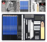 Set Da Disegno 36 Pezzi Kit per Schizzi Professionali Include Tutorial Grafite