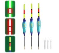 Set da pesca a LED con indicatore di morso, boa di pesce notturno doppio colore, luce Angel 4 g/5 g/6 g/7 g/8 g/9 g, capacità di carico incluso caricabatterie, accessori per la pesca per fiume e mare