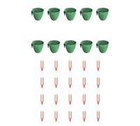 Set da Piantare 10 Tazze e 20 Forchette per Crescita e Trapianto Radice di Frago