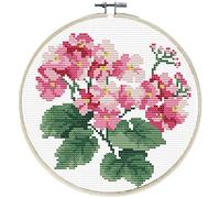 Set da ricamo Coccinella Primavera, set a punto lungo con cerchio da ricamo Ø 15,2 cm per un disegno rotondo, passatempo artigianale per adulti e bambini dagli 8 anni in su