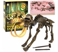 Set da scavo - scheletro T-Rex 3D - Mammut