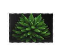 Set da sei pezzi di tovagliette resistenti all'olio e termoisolanti WZYWHJ con foglie di abete rosso stampato piatti da pranzo