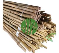 Set di 10 Tutori in Bambù Naturale - Pali per Pomodori, Sostegni per Piante da Interno ed Esterno - Bastoni per Orto e Giardinaggio - Lunghezze da 120 a 240 cm (H cm 240 X Ø mm 16-18)