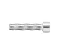 Set di 10 viti con esagono incassato P2R Argento